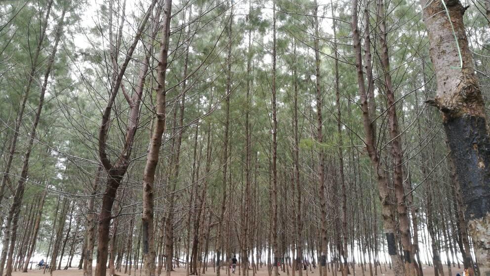 瑞莱克斯度假屋 哥打巴鲁 外观 照片